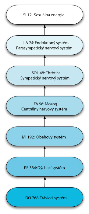 Pancatattva2